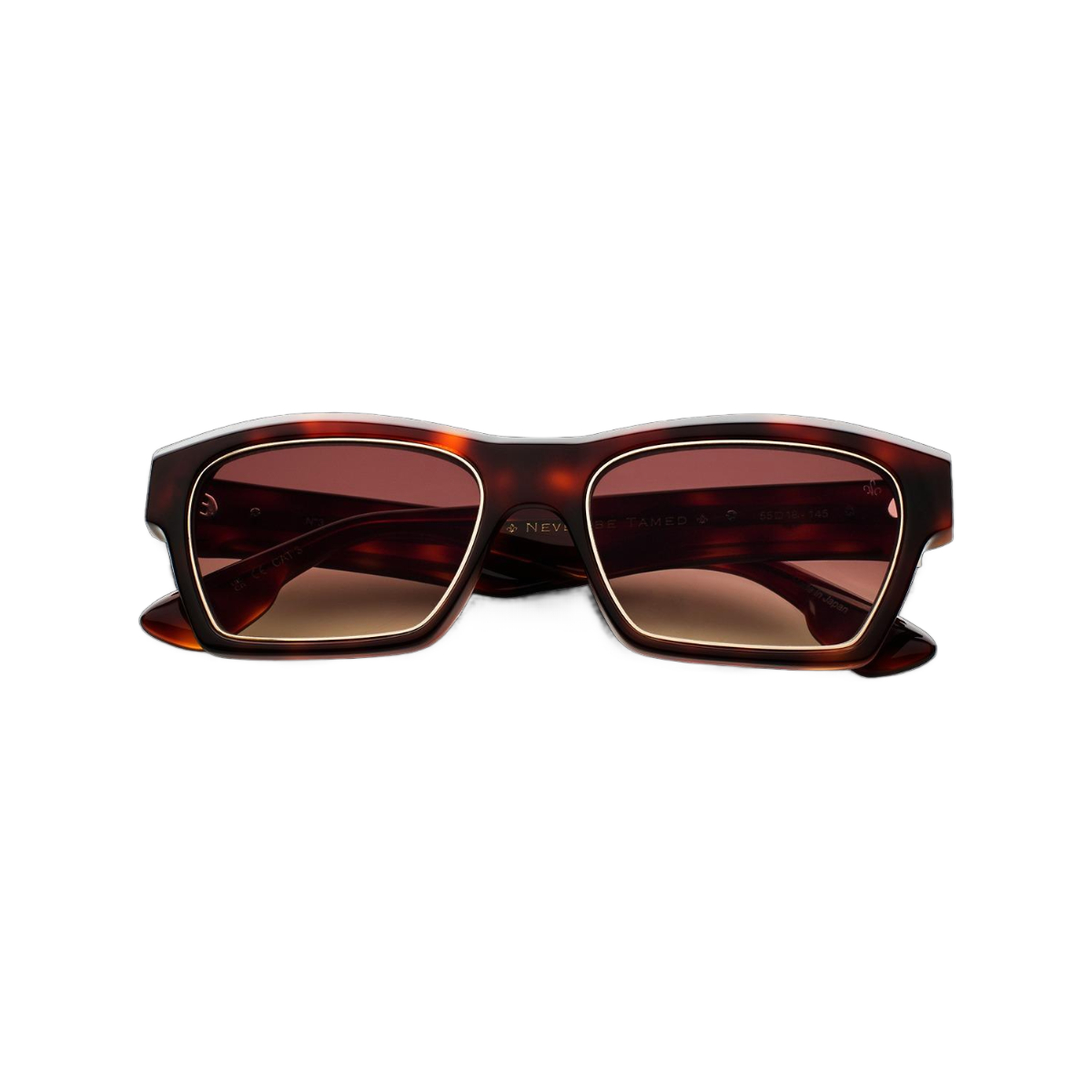 N3.1 Tort Frame - Brown Gradient Lens