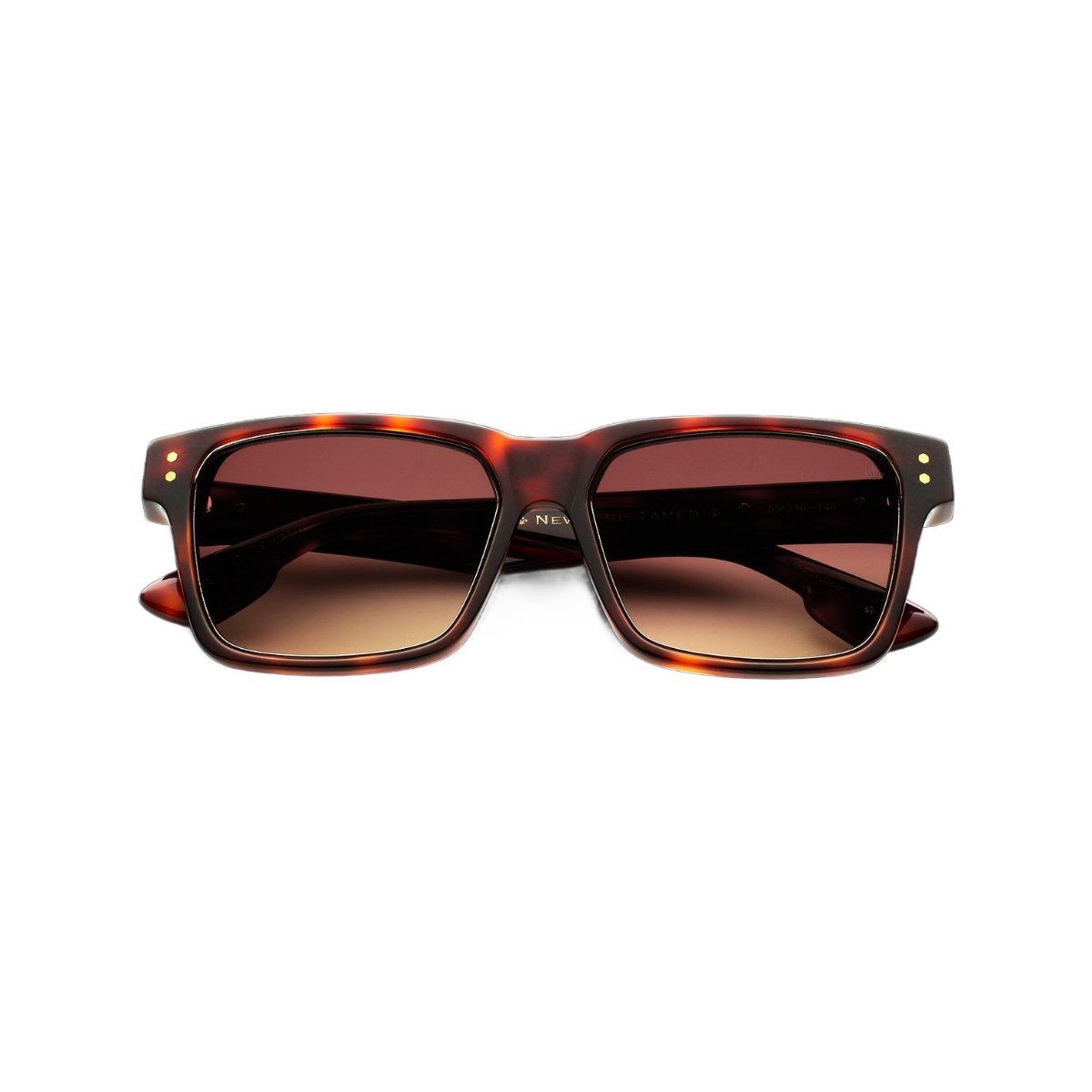 N3.2 Tort Frame - Brown Gradient Lens