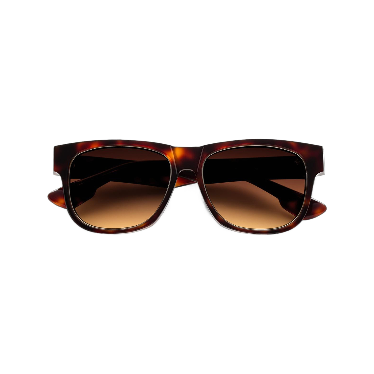 N3.3 Tort Frame - Brown Gradient Lens