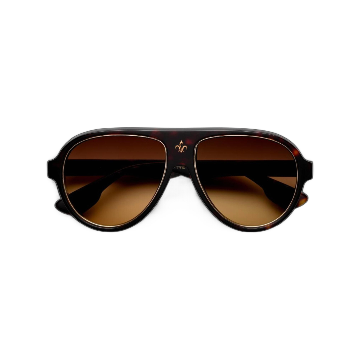 N4.1 Tort Frame - Brown Gradient Lens